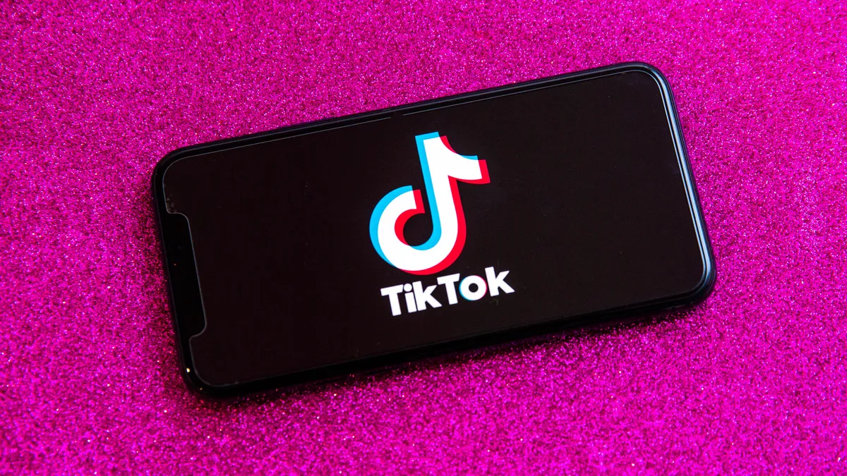 TikTok Sales Masterclass: How to Use TikTok to Sell Products and Make Money Online
